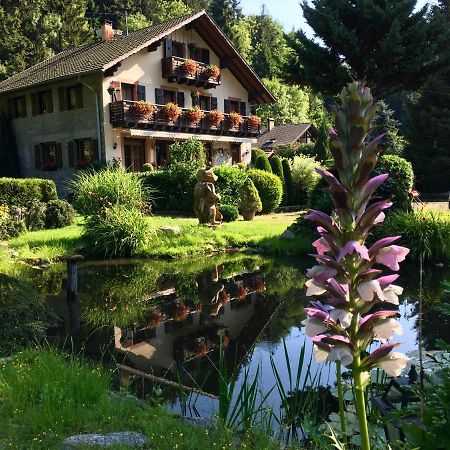 Chambres D'Hotes Des Cascades St-Nicolas Kruth Exteriér fotografie