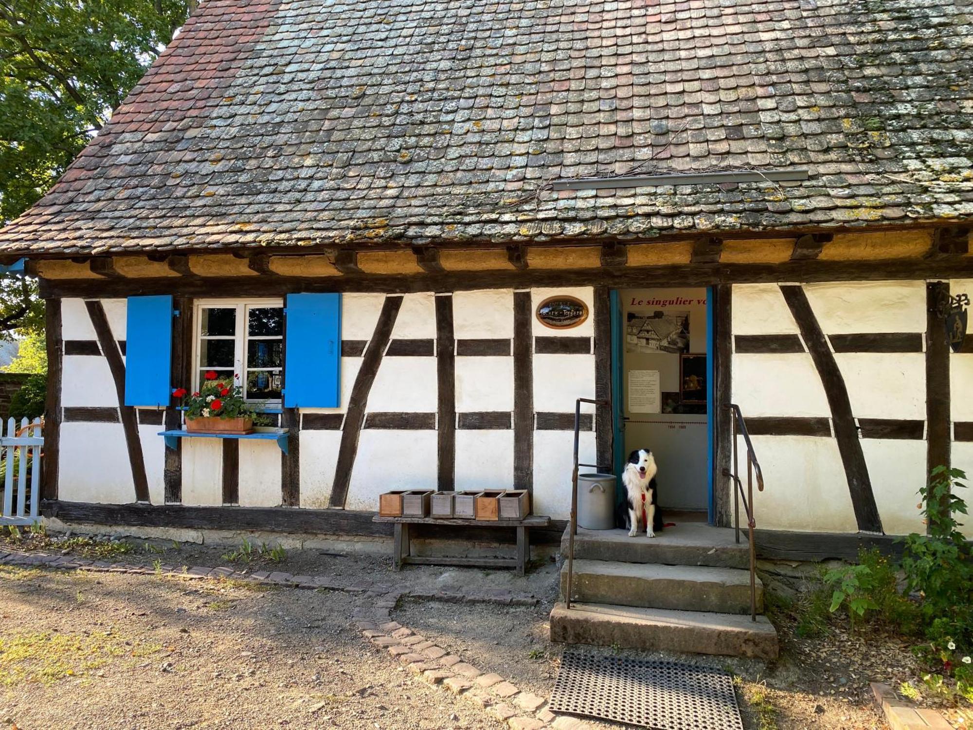 Chambres D'Hotes Des Cascades St-Nicolas Kruth Exteriér fotografie