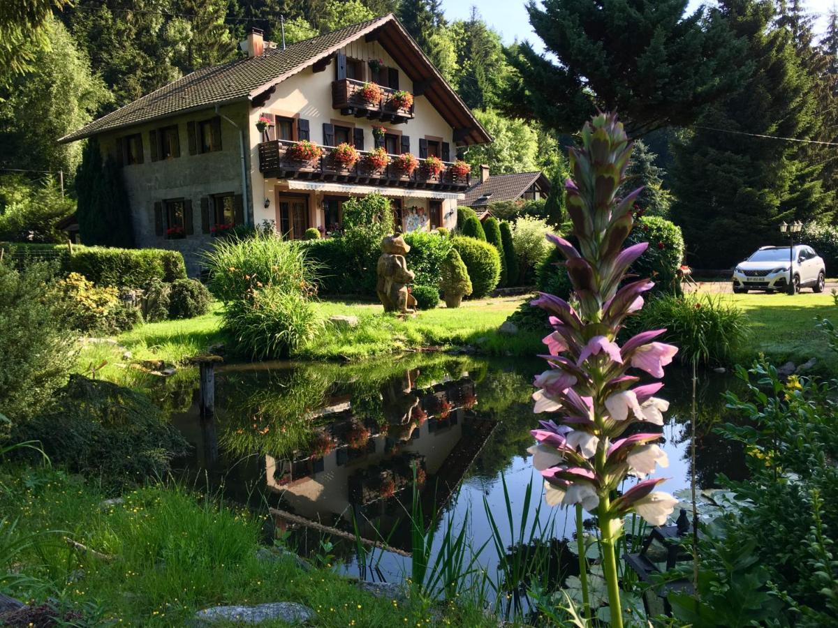Chambres D'Hotes Des Cascades St-Nicolas Kruth Exteriér fotografie